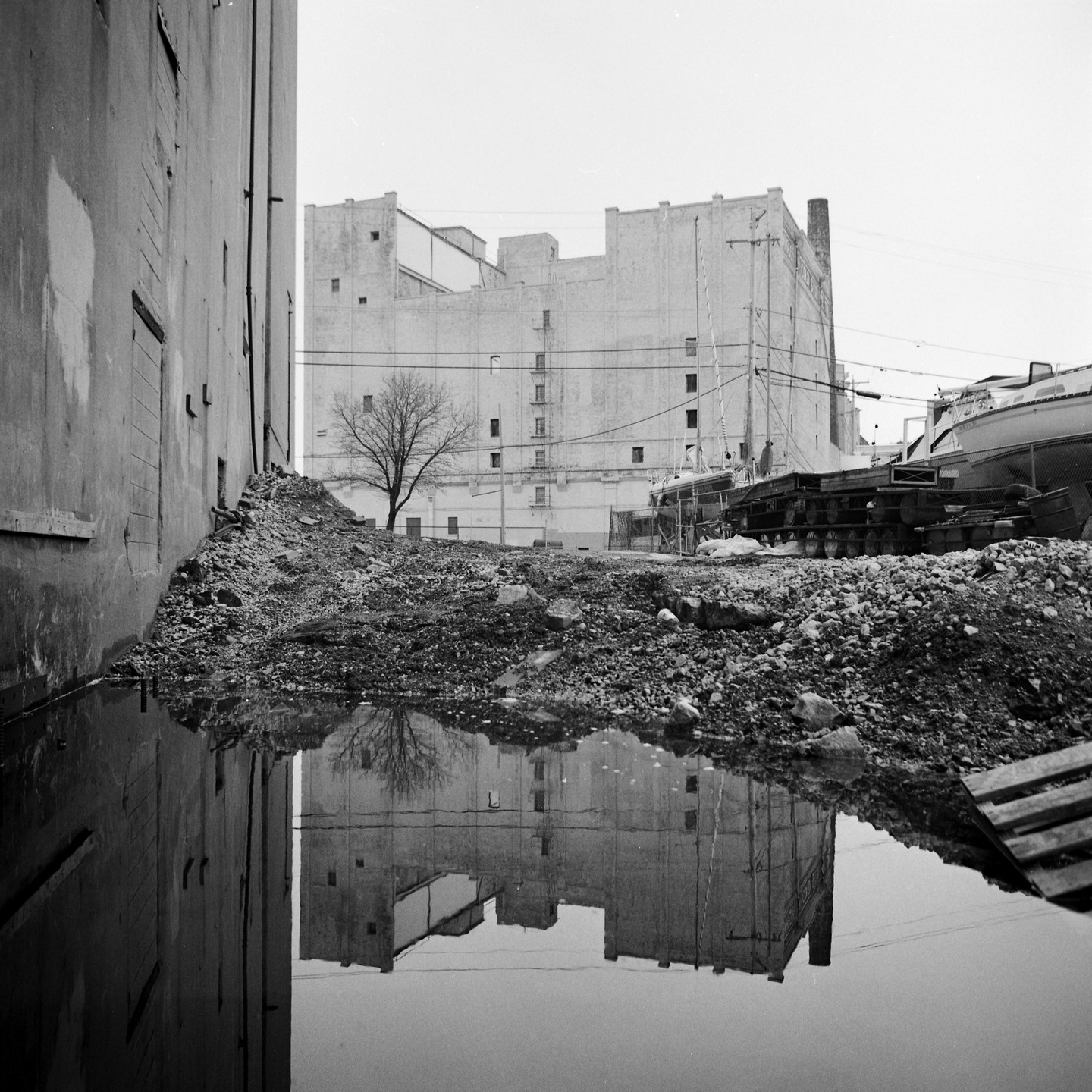 A large puddle reflects a bare tree and a building in a harbor yard.