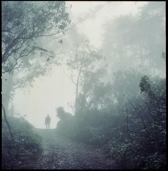 A man stands on a path in a foggy forest.