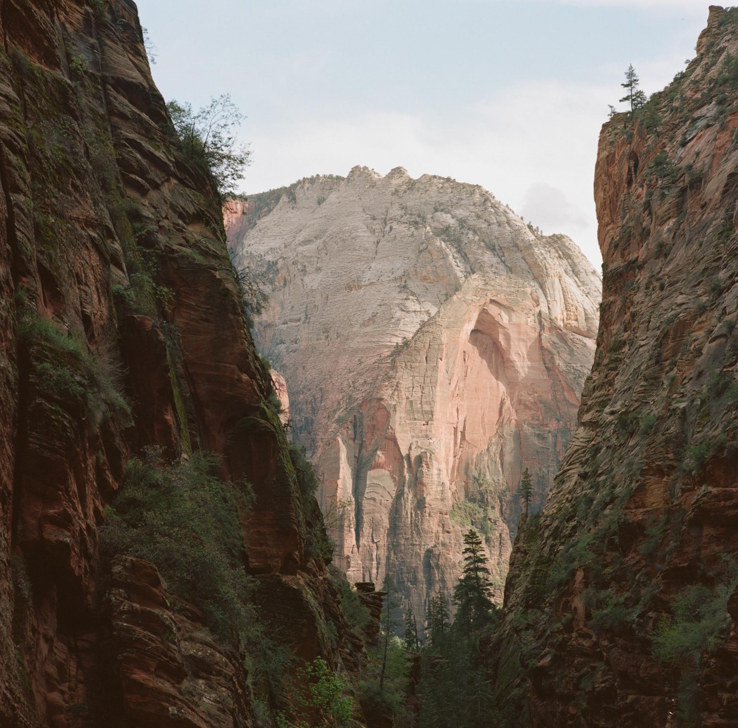 A narrow canyon with steep rock walls opens up to reveal a large mountain in the distance.