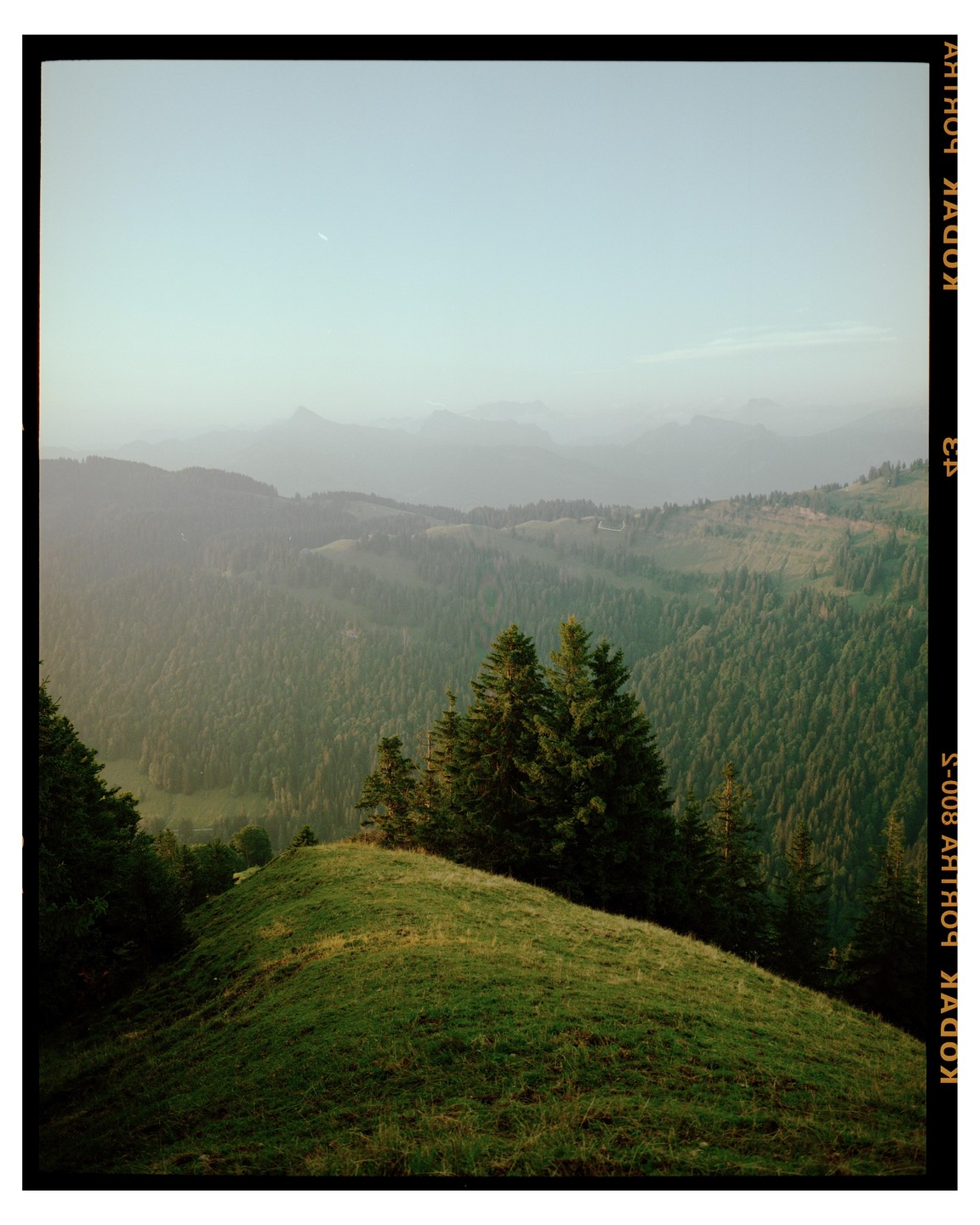 A grassy hill with pine trees overlooks a vast valley of forests and distant mountains under a hazy sky.