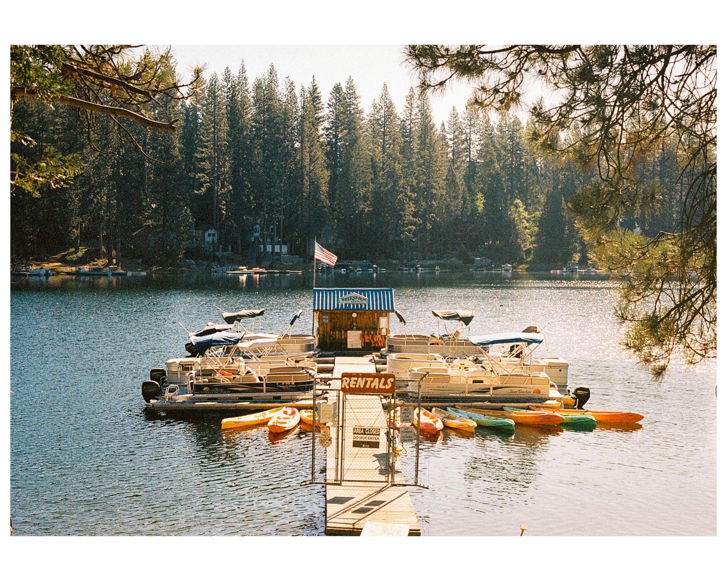A rental dock with pontoon boats and kayaks is visible on a lake surrounded by a forest.