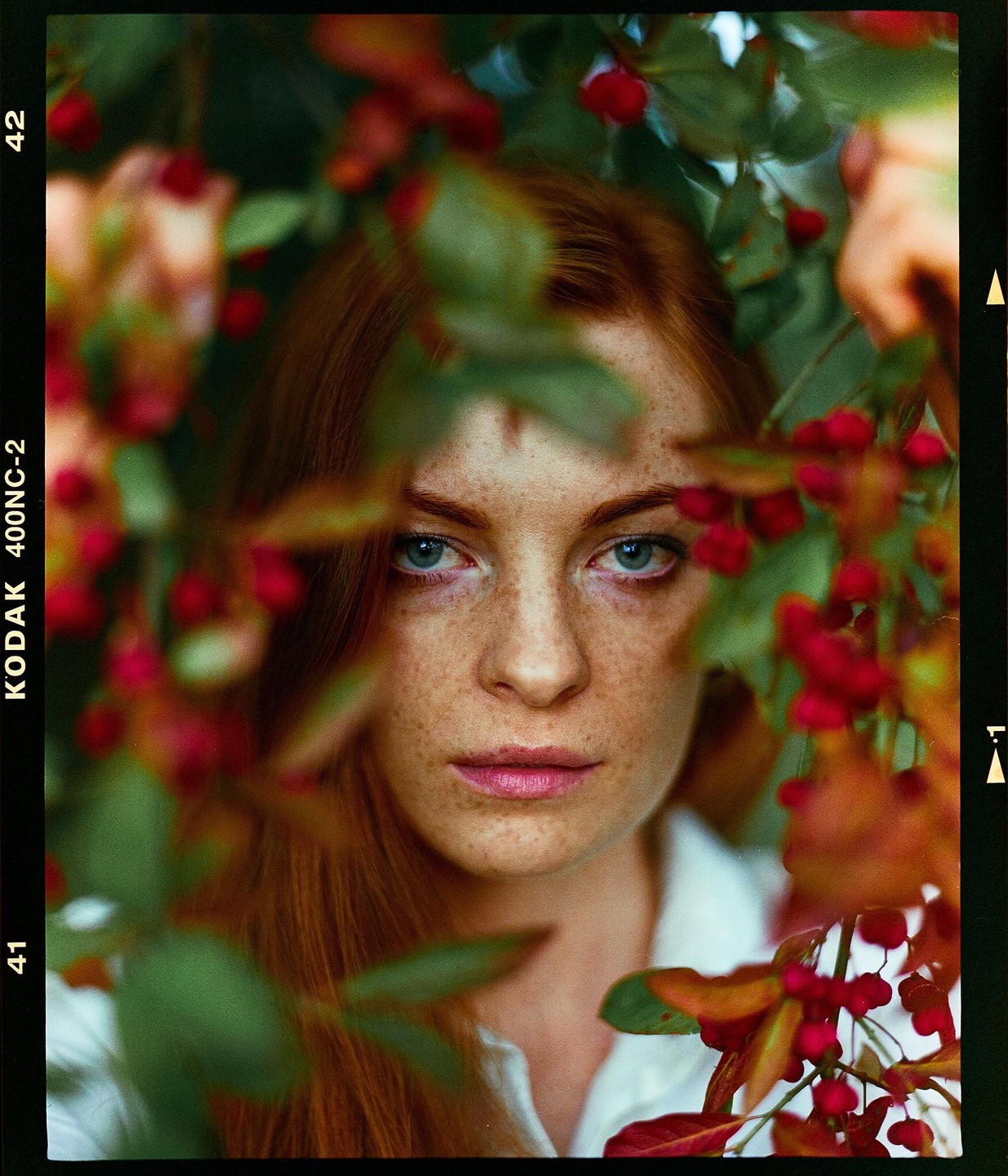 A woman with freckles and red hair looks directly at the viewer through a frame of autumn leaves and red berries.