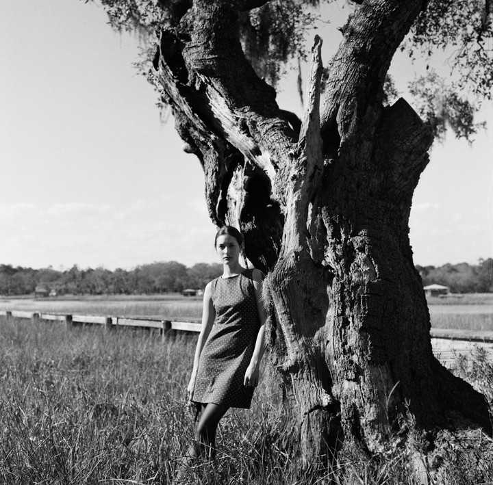 A woman in a polka dot dress stands next to a large tree in a grassy field with a wooden walkway in the background.