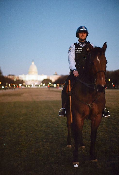 A mounted park police officer on a horse stands in a grassy field with the US Capitol building in the background at dusk.