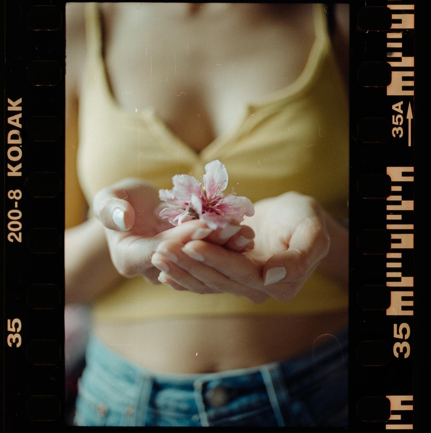 A woman holds a pink flower in her cupped hands.