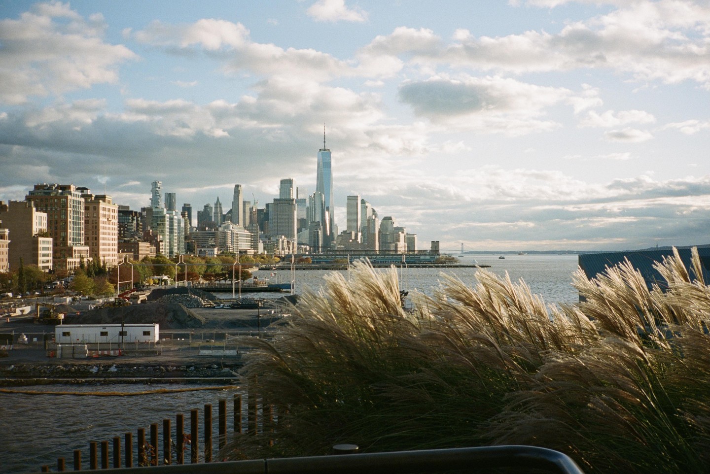 A cityscape of New York with tall buildings and a body of water in the foreground, with tall grasses blowing in the wind.
