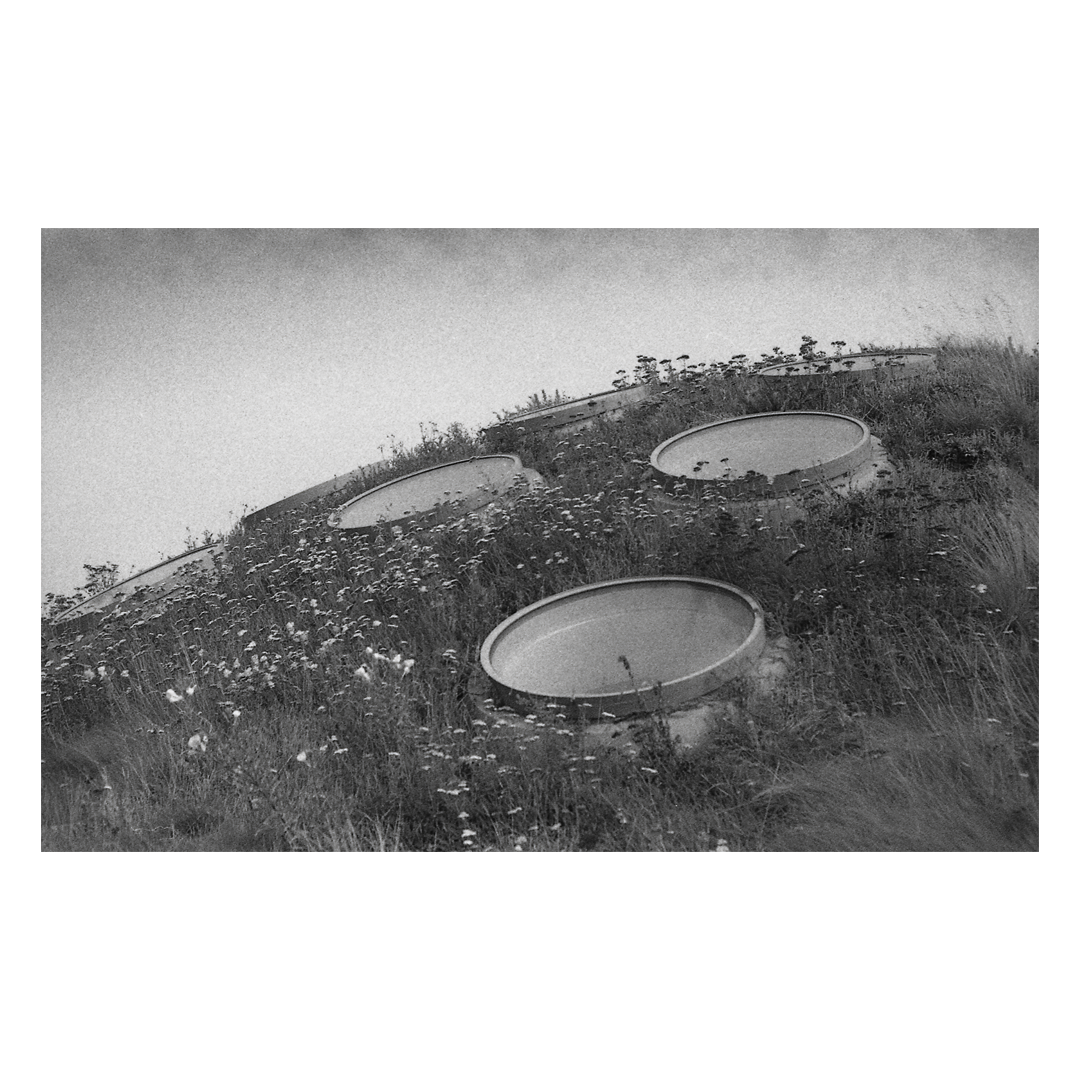 Three circular structures are visible on a grassy, sloping surface covered with small flowers.