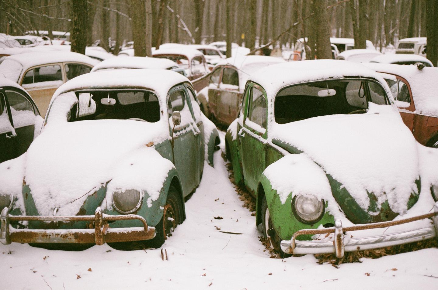Two snow-covered Volkswagen Beetles are parked in a forest.