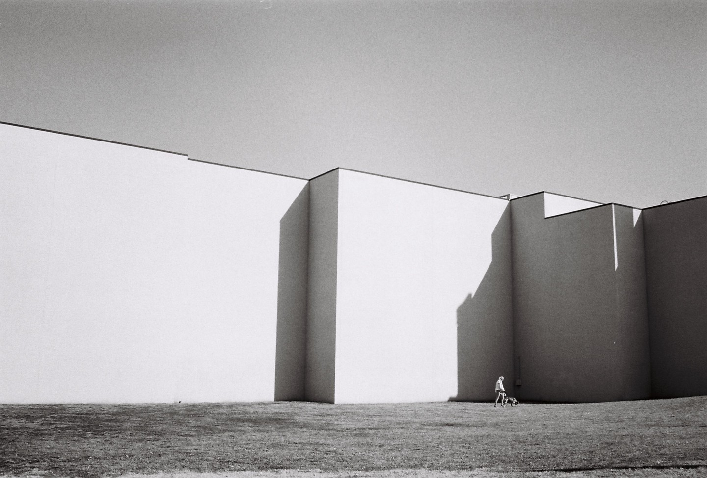 A woman walks her dog on a grassy area next to a large, modern building with strong shadows.