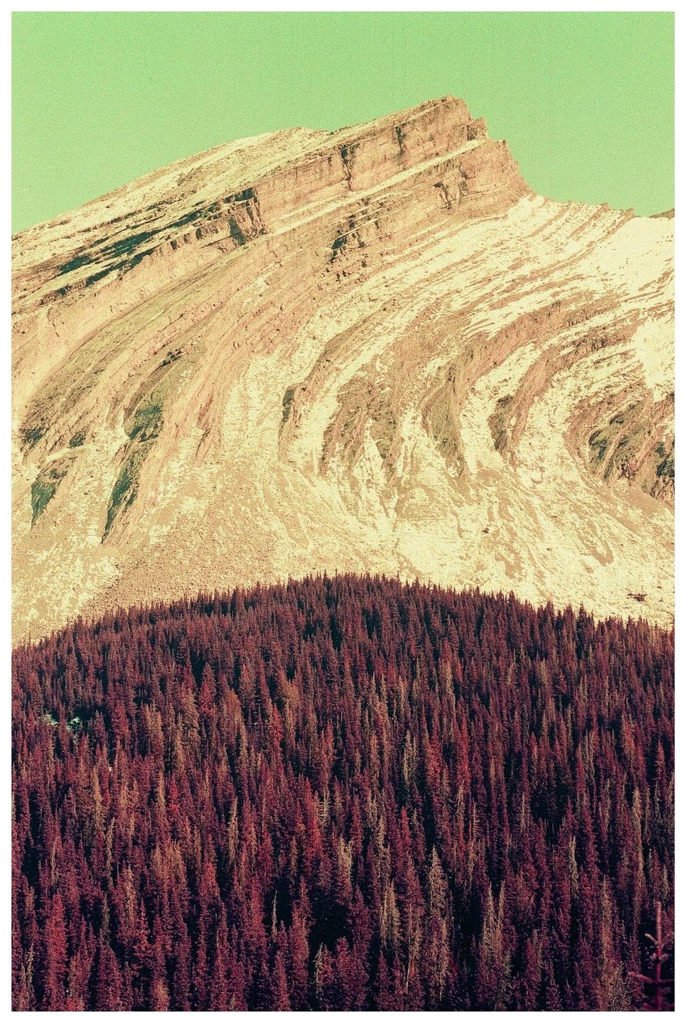 A mountain with visible rock layers rises above a dense forest of purple-hued trees under a seafoam green sky.
