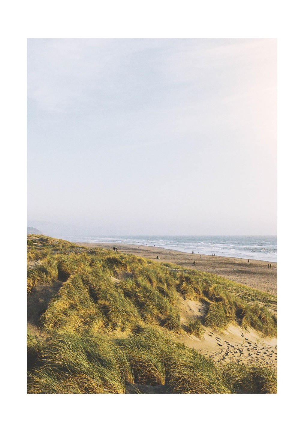 A wide view of a beach with sand dunes covered in tall grass in the foreground and people walking along the shore.