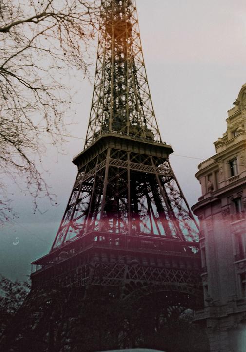 The Eiffel Tower is visible behind bare tree branches and next to a building.