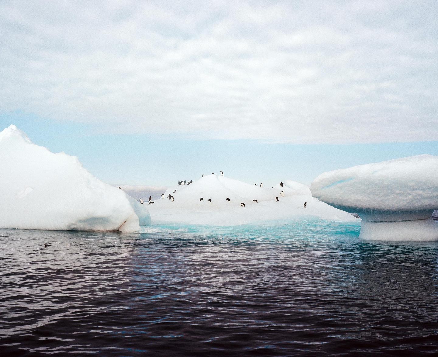 A group of penguins stands on a large iceberg floating in dark water under a cloudy sky.