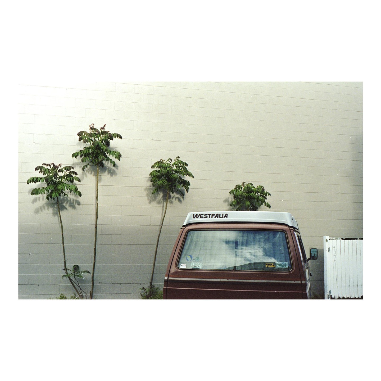 A brown Westfalia van is parked in front of a white brick wall with several small trees.