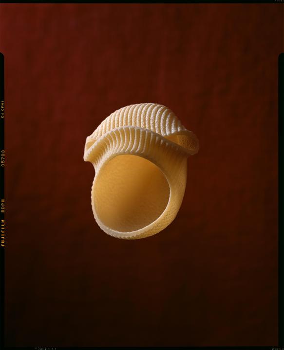 A single lumacone pasta noodle is centered against a dark red background.