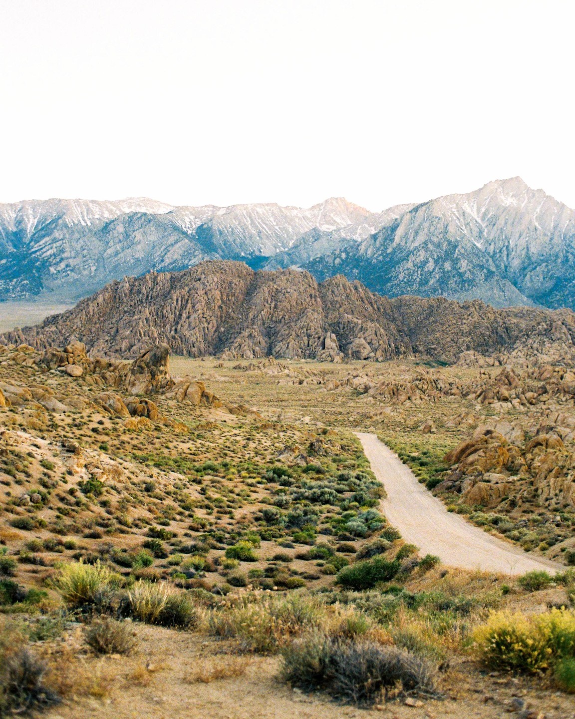 A dirt road leads through a rocky, shrub-covered landscape towards snow-capped mountains under a bright sky.