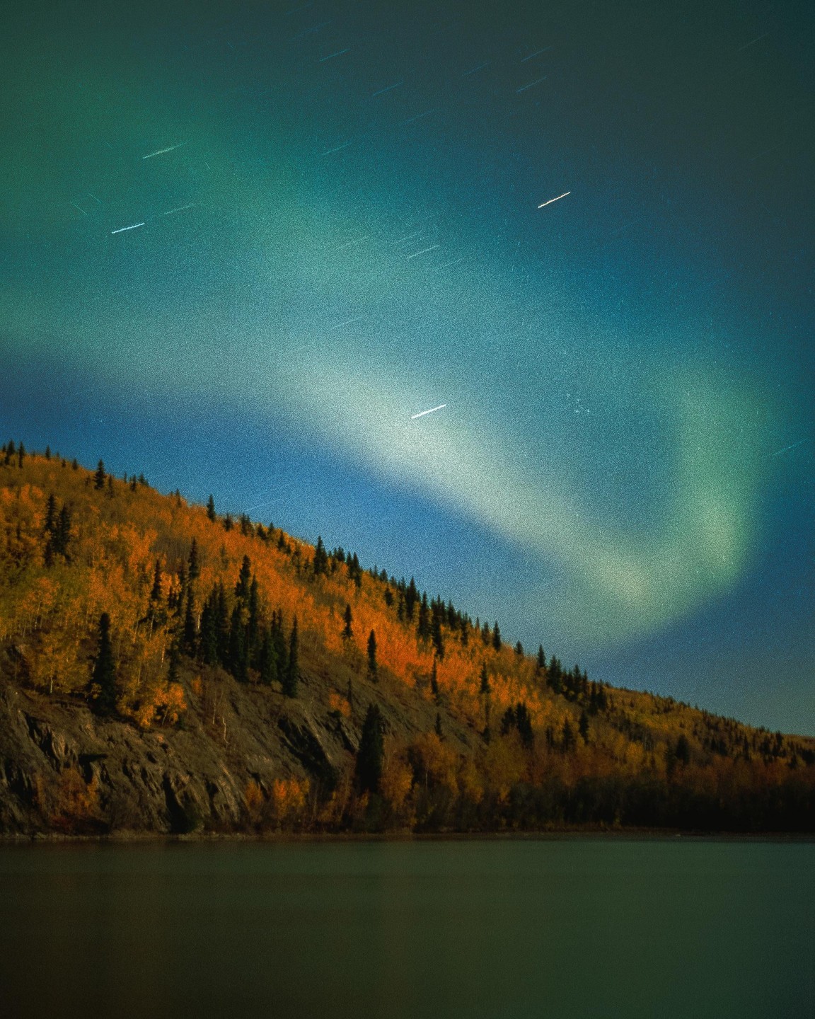 The aurora borealis glows green and blue above a hillside covered in autumn foliage and evergreen trees, with a body of water in the foreground.
