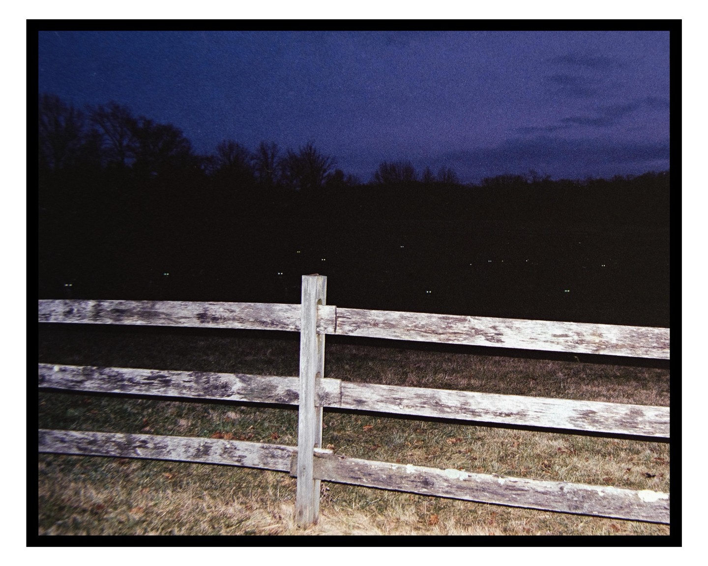 A wooden fence stands in front of a dark field with glowing animal eyes and a dark blue sky.