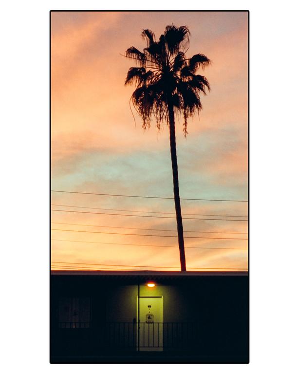 A palm tree stands tall against a colorful sky above a building with a lit doorway.