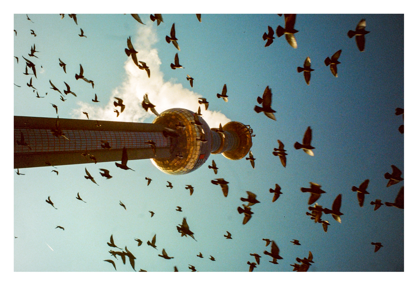 A flock of birds flies around a golden tower against a blue sky with a single cloud.