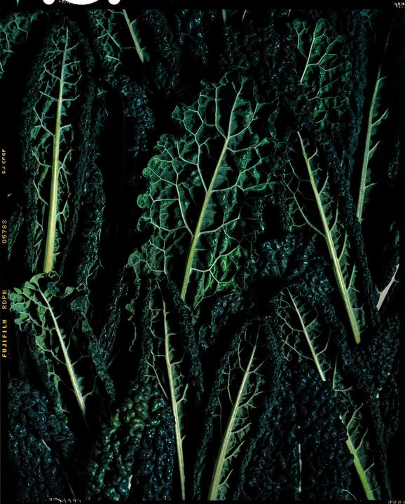 A close-up shot shows several dark green cavolo nero leaves with prominent veins against a black background.