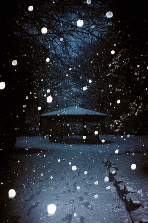 A gazebo stands in a snowy park at night, with large snowflakes falling.