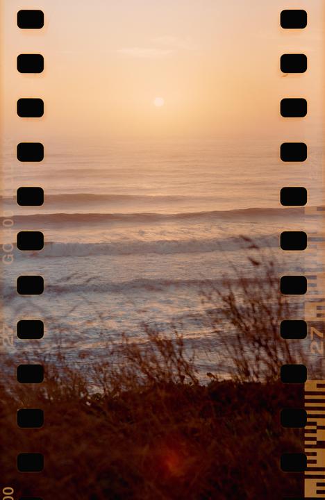 The sun sets over the ocean with waves rolling towards the shore, seen through tall grass in the foreground.