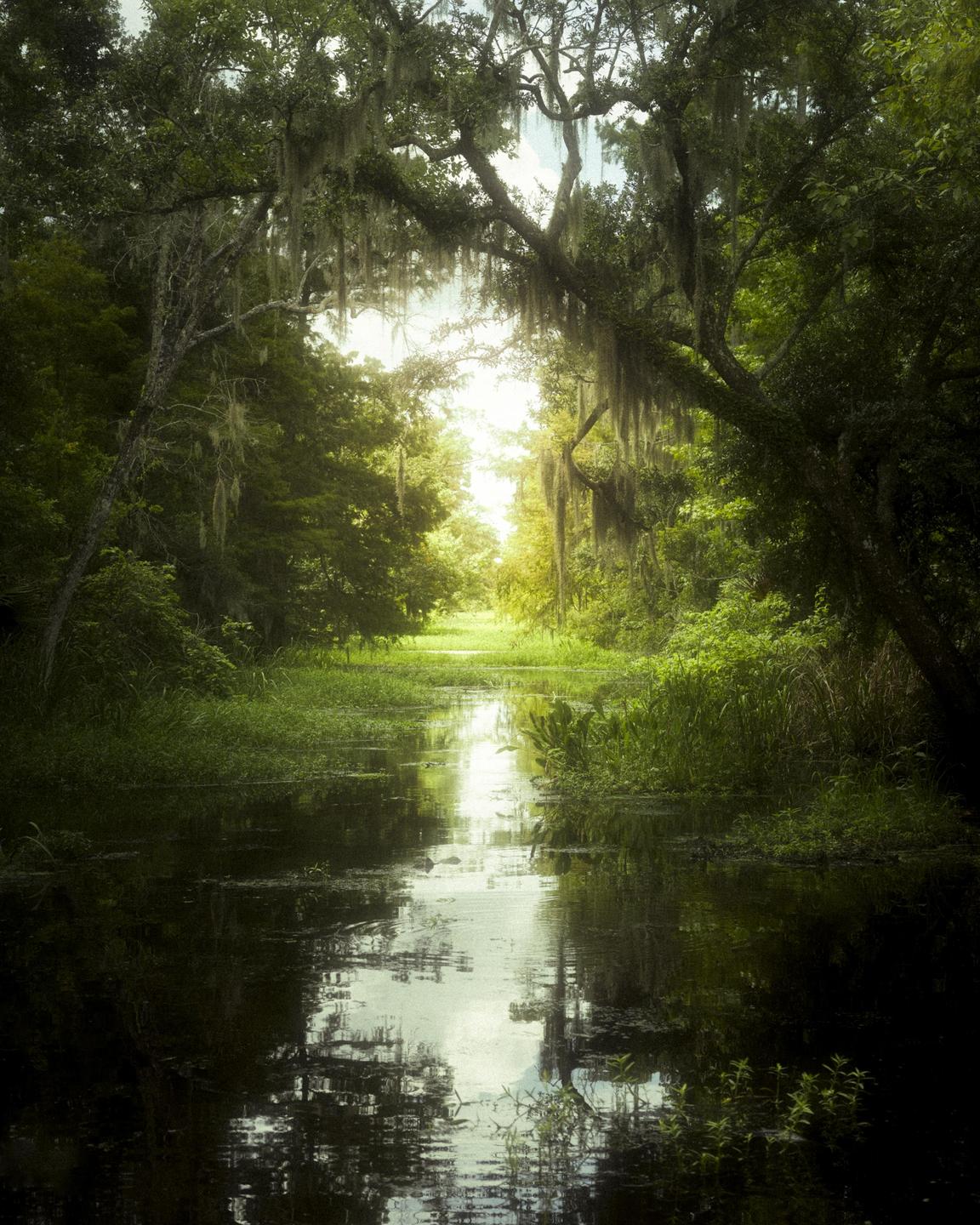 A narrow bayou with lush green vegetation on its banks reflects the bright light at its end.