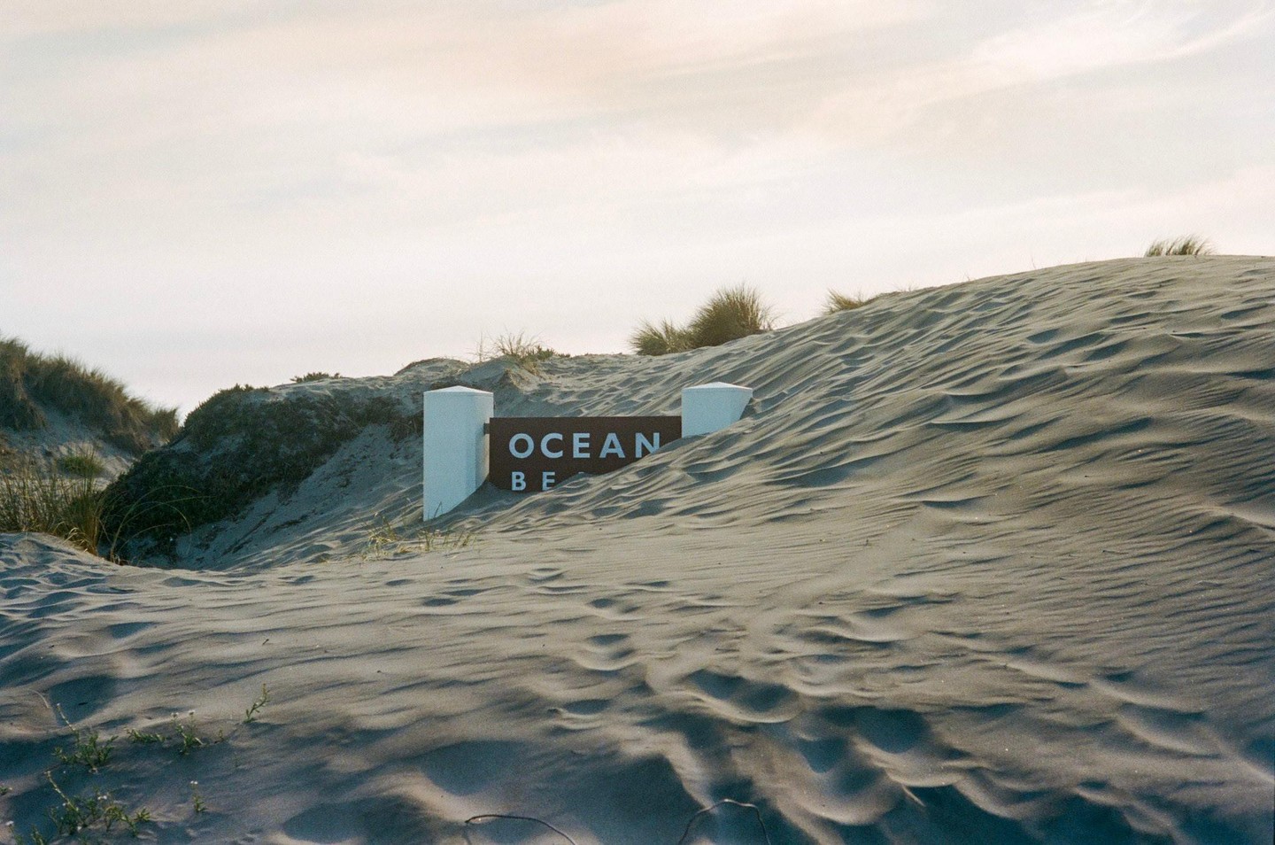 A sign for Ocean Beach is partially buried in sand dunes with sparse vegetation under a bright sky.
