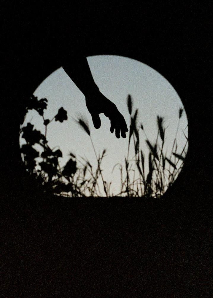 A silhouetted hand reaches into a circular frame with plants and sky visible through it.