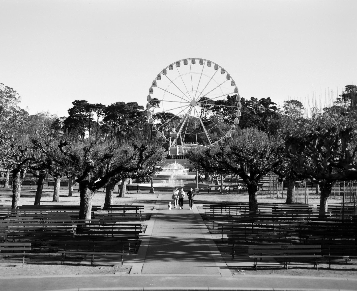 A ferris wheel stands behind a fountain and a row of trees with people walking on a path in a park.