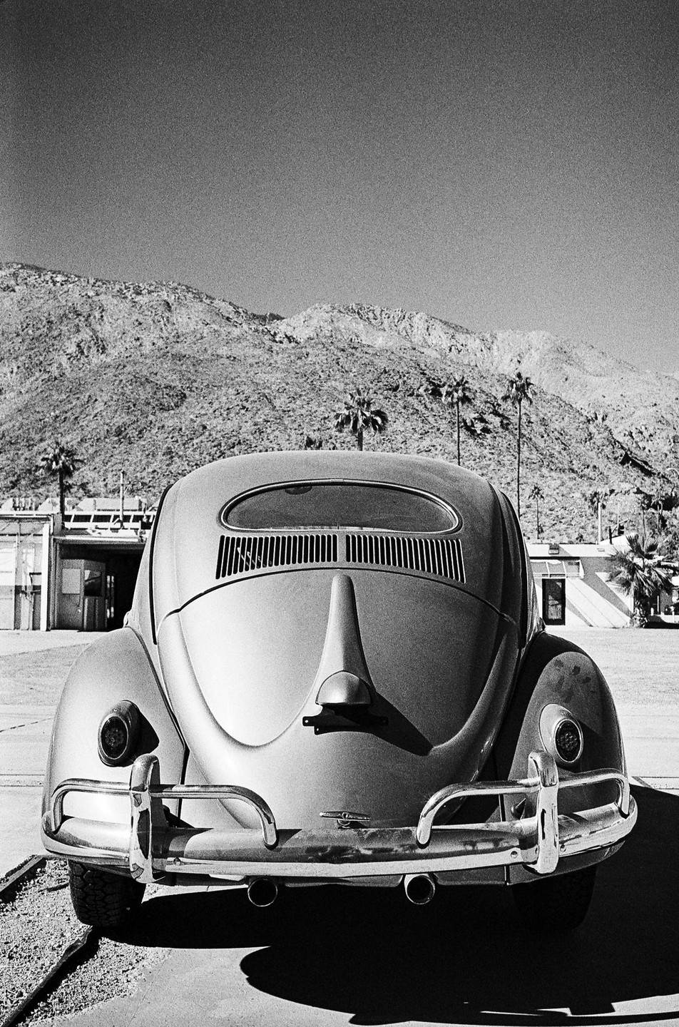 The rear of a vintage Volkswagen Beetle is parked in front of a desert mountain range with palm trees.