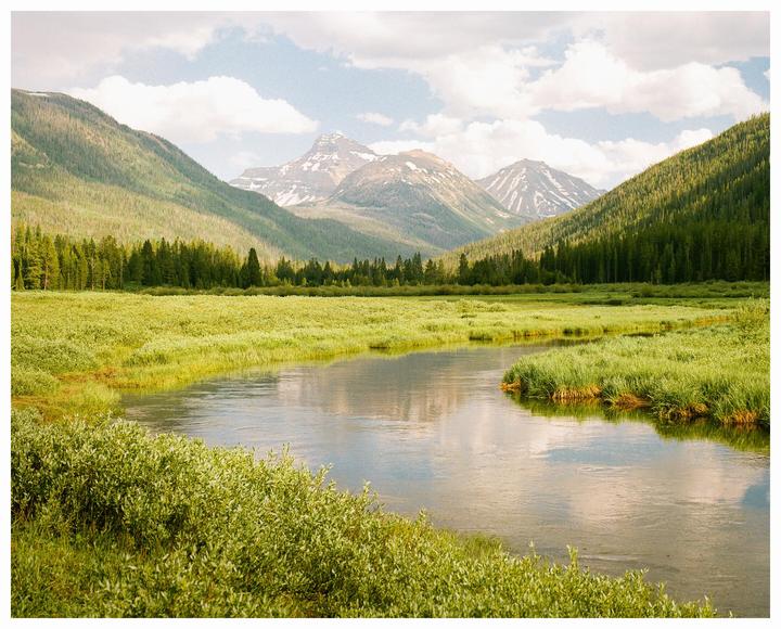 A river winds through a grassy meadow with mountains and a forest in the background under a cloudy sky.