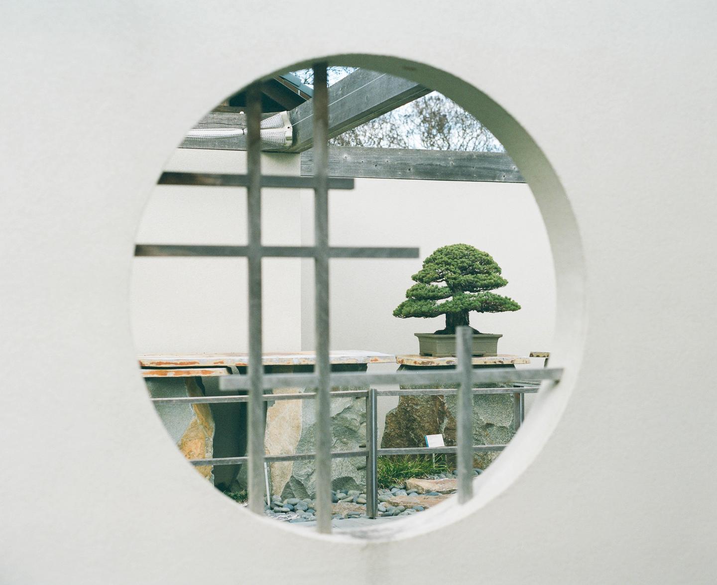 A bonsai tree is visible through a circular window with a metal grate.