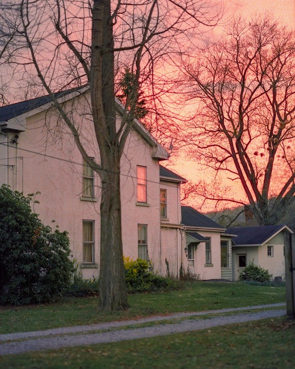 A house with a gravel driveway is surrounded by trees with a vibrant pink sky in the background.