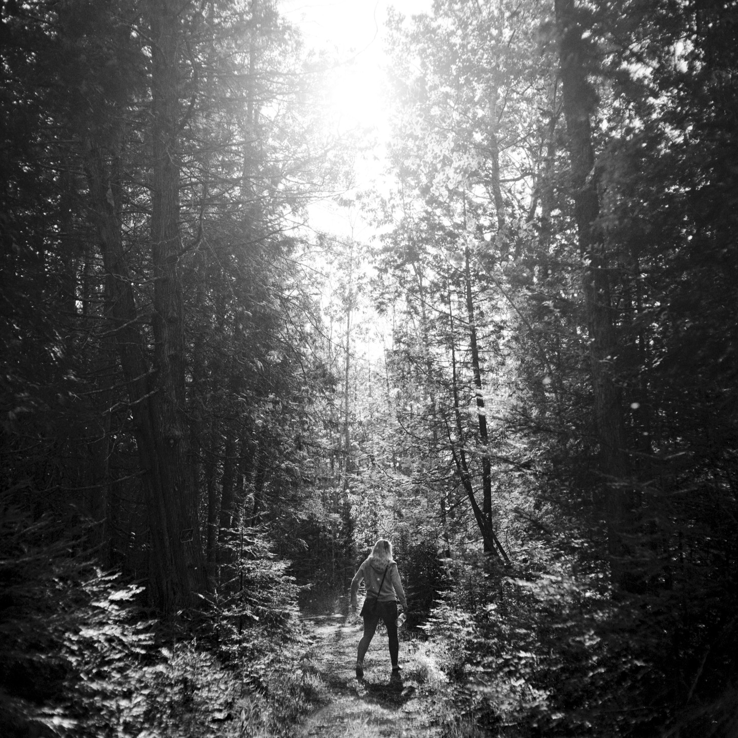 A woman walks on a path through a dense forest with bright light shining through the trees.