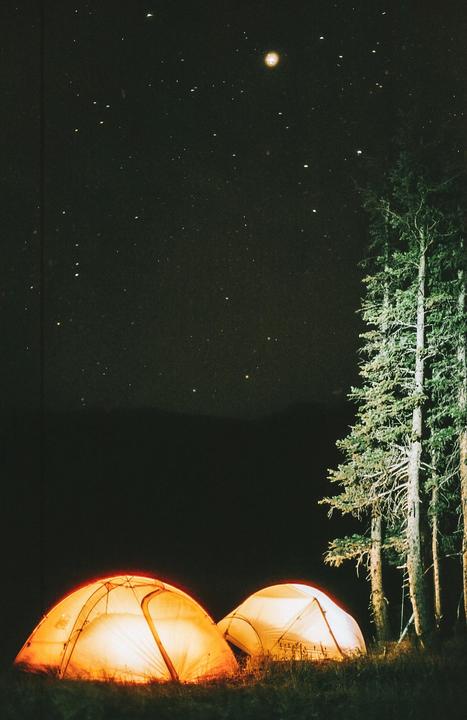 Two illuminated tents sit on a grassy hill next to tall pine trees under a starry night sky.