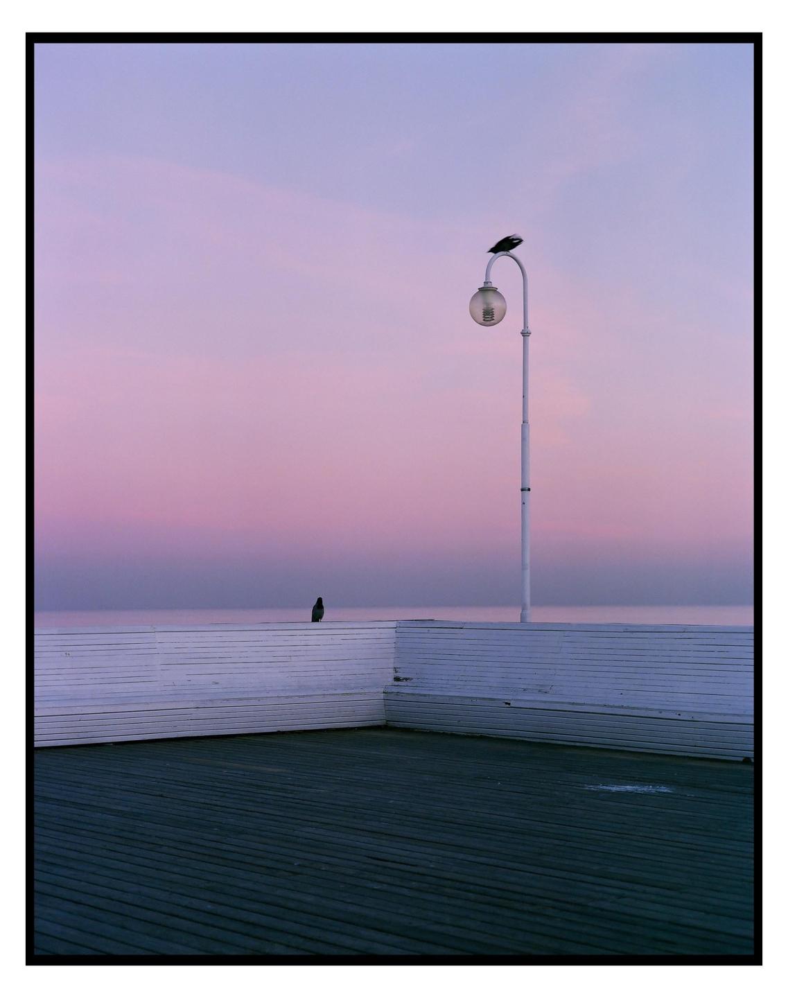 Two birds are perched on a white lamppost and a white railing overlooking the sea under a purple sky.