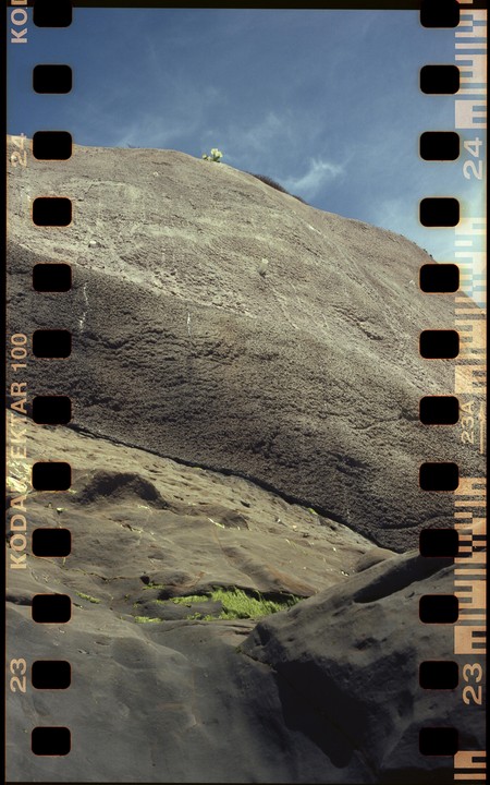 A large rock formation with patches of green moss and a small yellow flower at the top is shown under a blue sky.