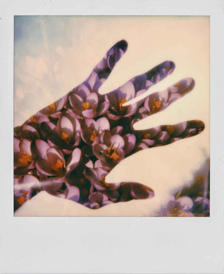 Blindsided | Polaroid SX-70 | Double Exposure, shot on POLAROID SX-70