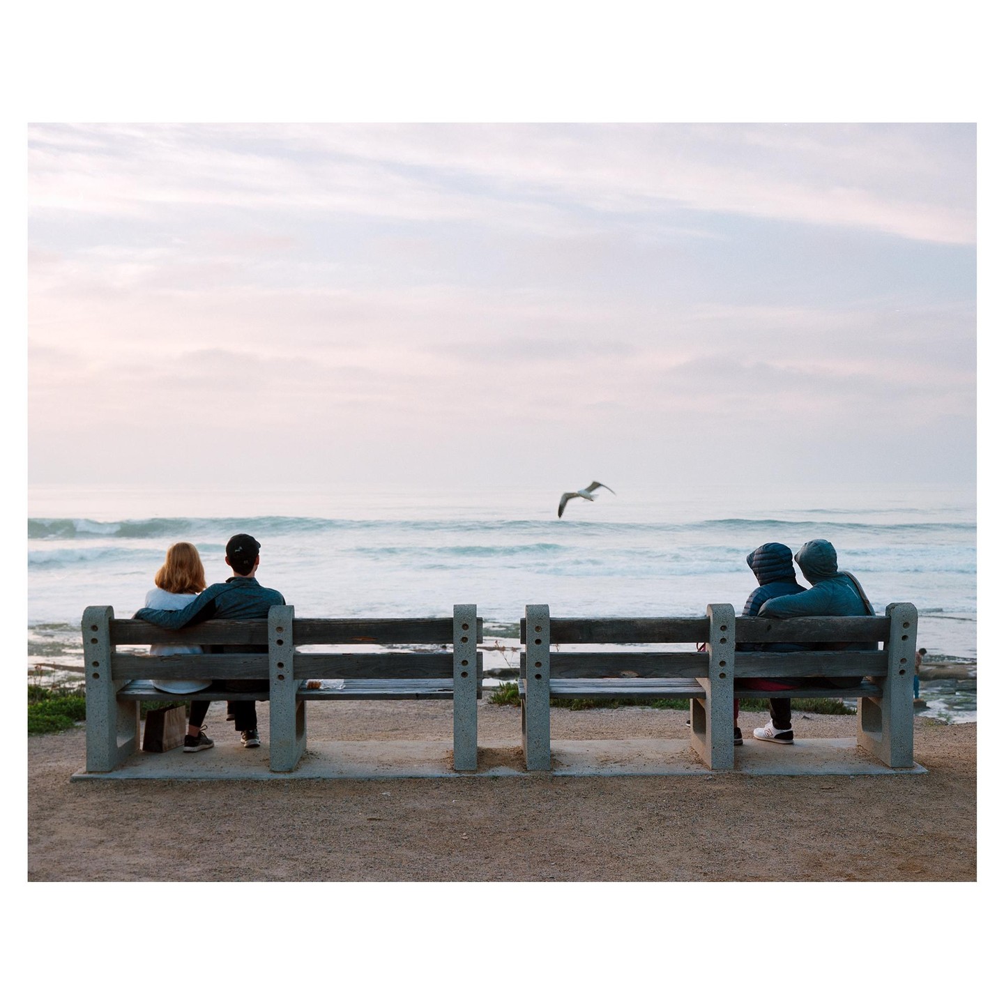 Two couples sit on separate benches facing the ocean with a seagull flying over the water.