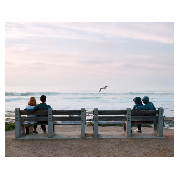Two couples sit on separate benches facing the ocean with a seagull flying over the water.