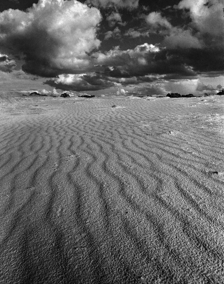 Rippled sand dunes stretch under a dramatic sky filled with dark, heavy clouds.