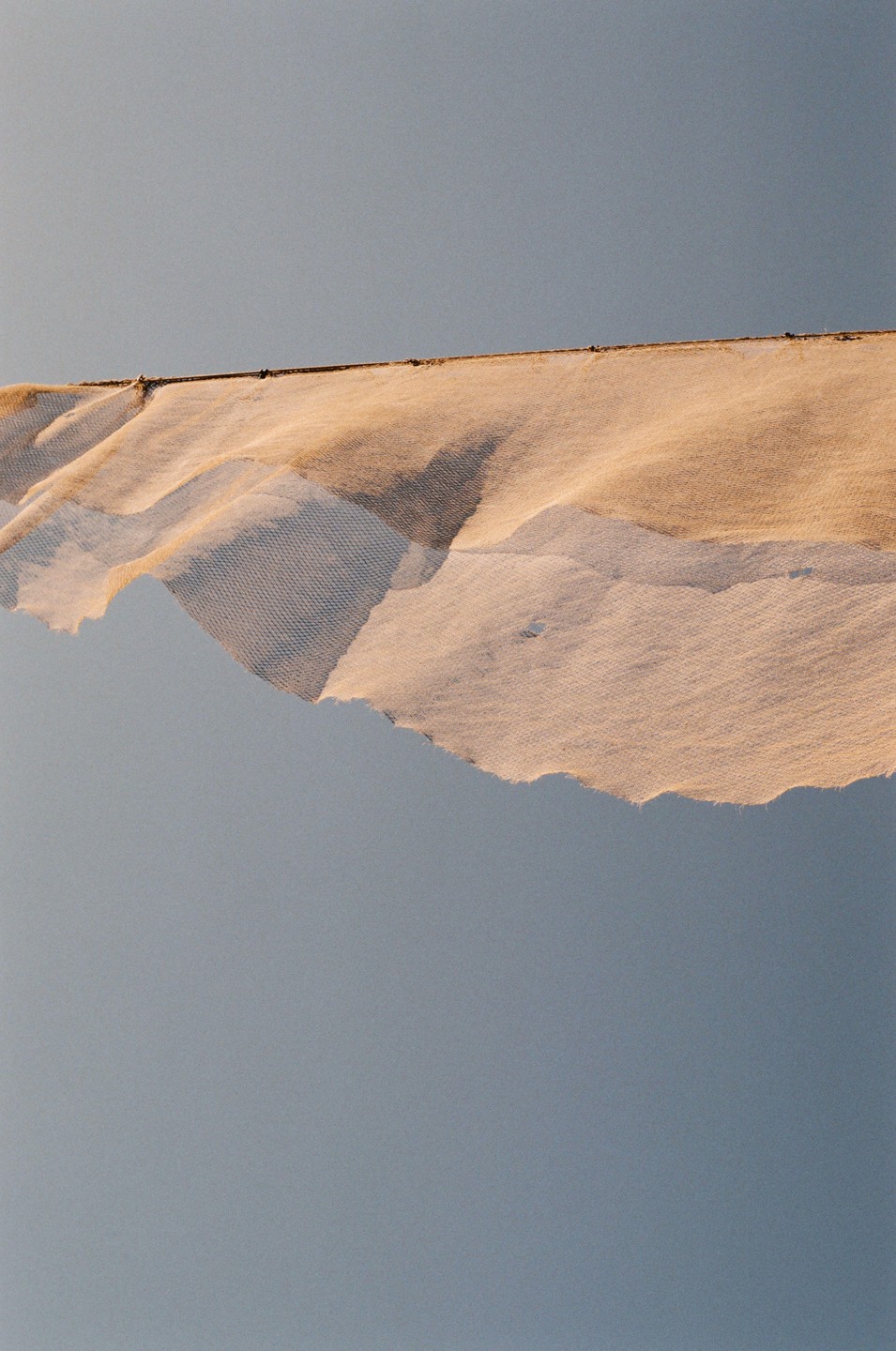 A tattered, light-colored net or fabric hangs against a clear blue sky.