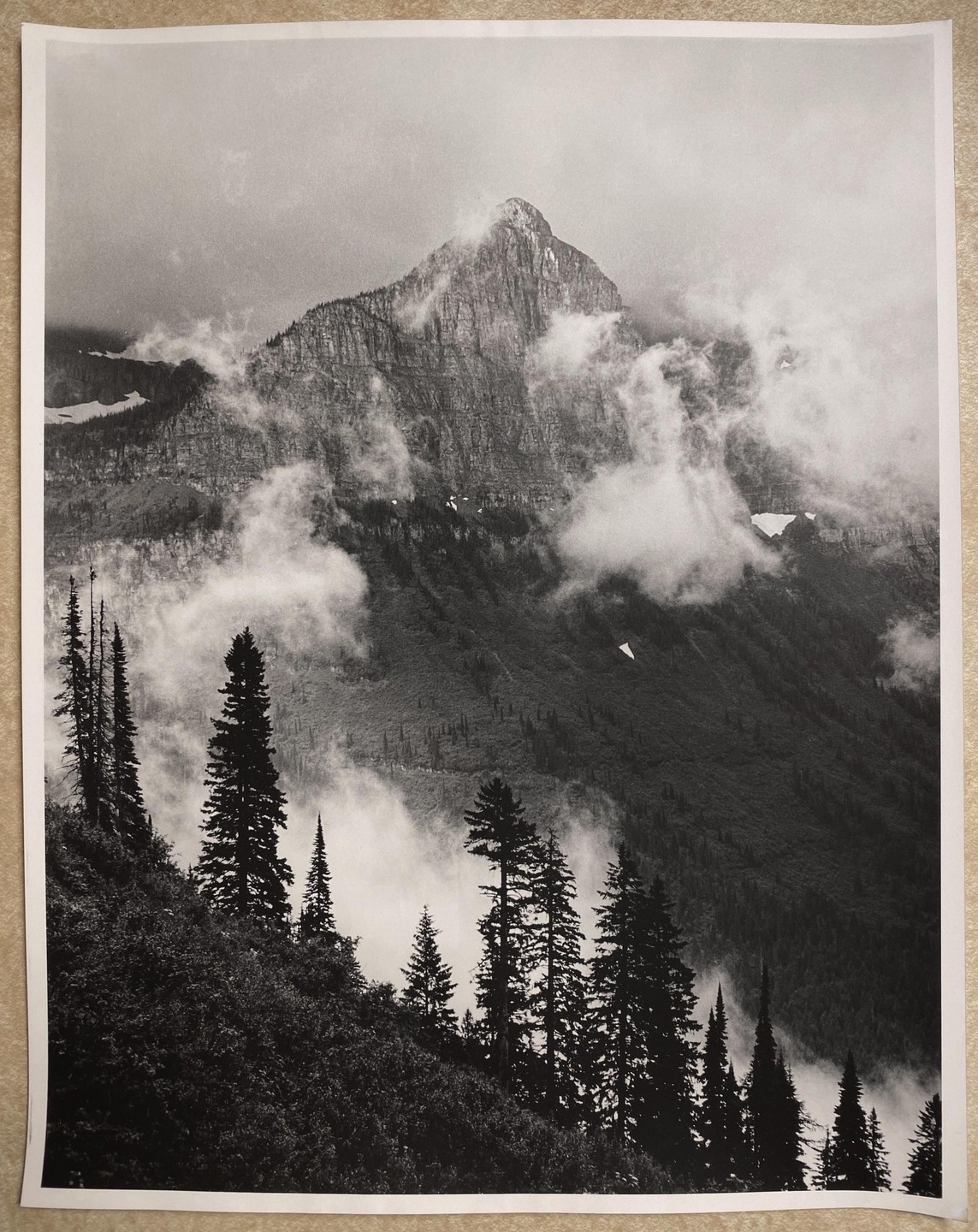 Clouds partially obscure a mountain peak and a forest of pine trees.