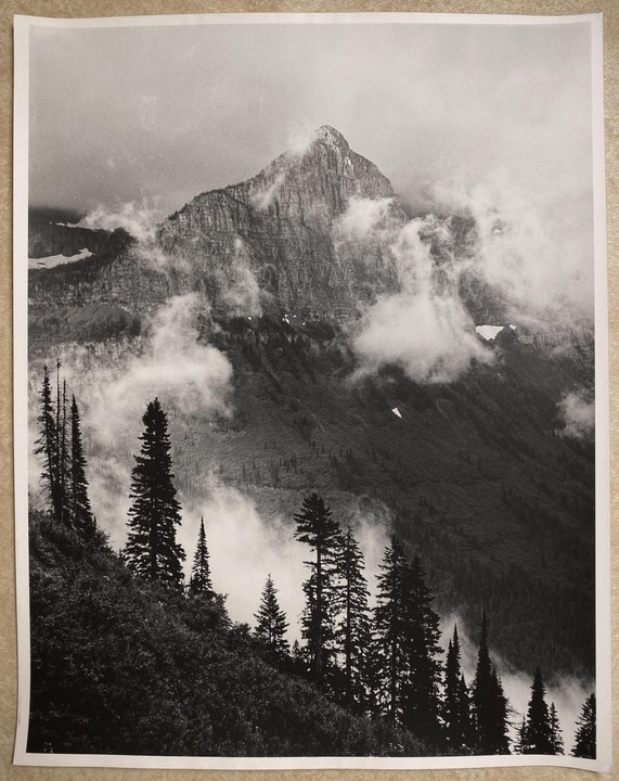 Clouds partially obscure a mountain peak and a forest of pine trees.