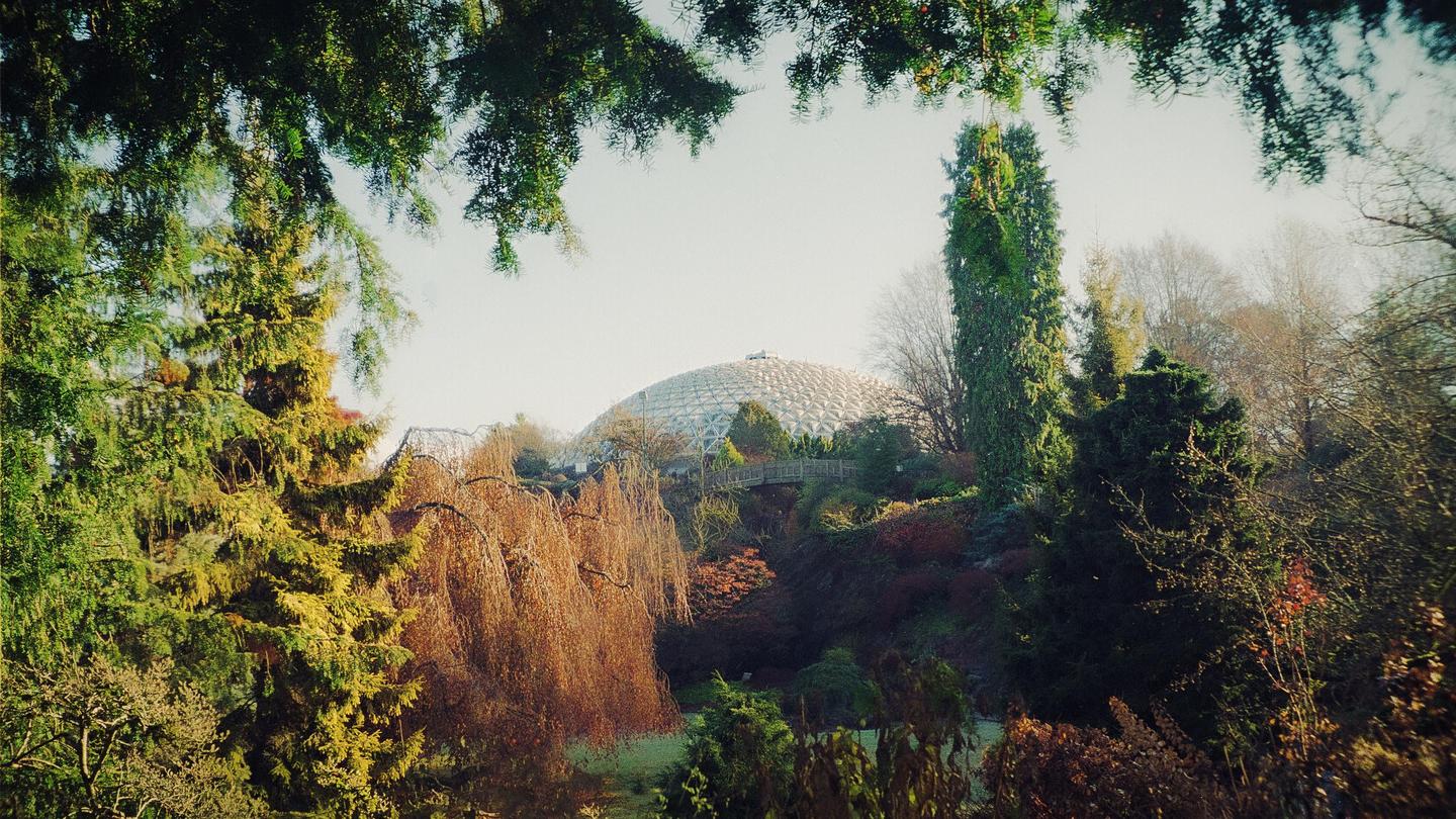A geodesic dome is visible through a frame of trees and foliage.