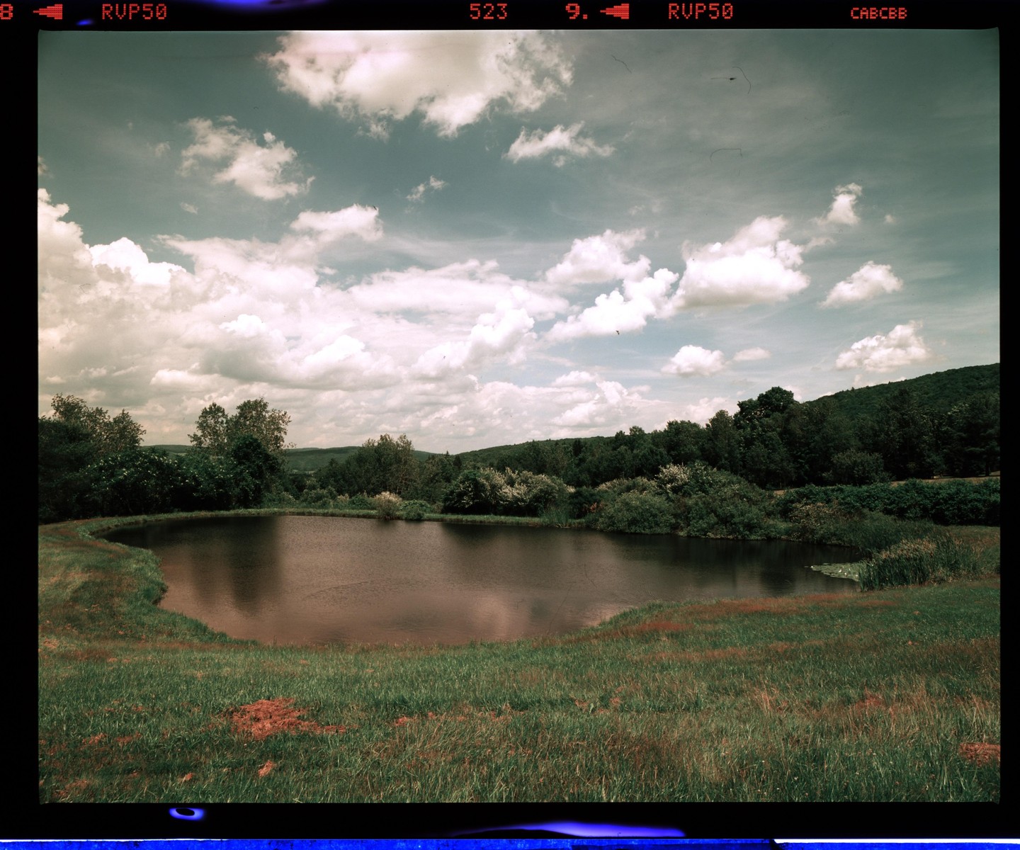 A small pond is surrounded by green grass and trees under a cloudy sky.