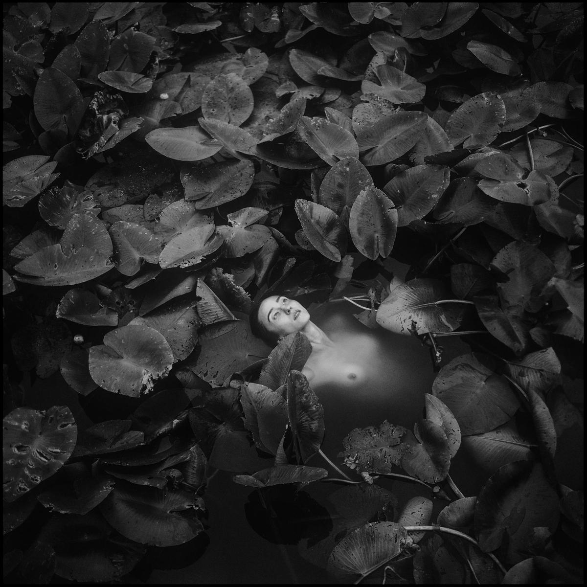 A woman floats in water surrounded by lily pads.