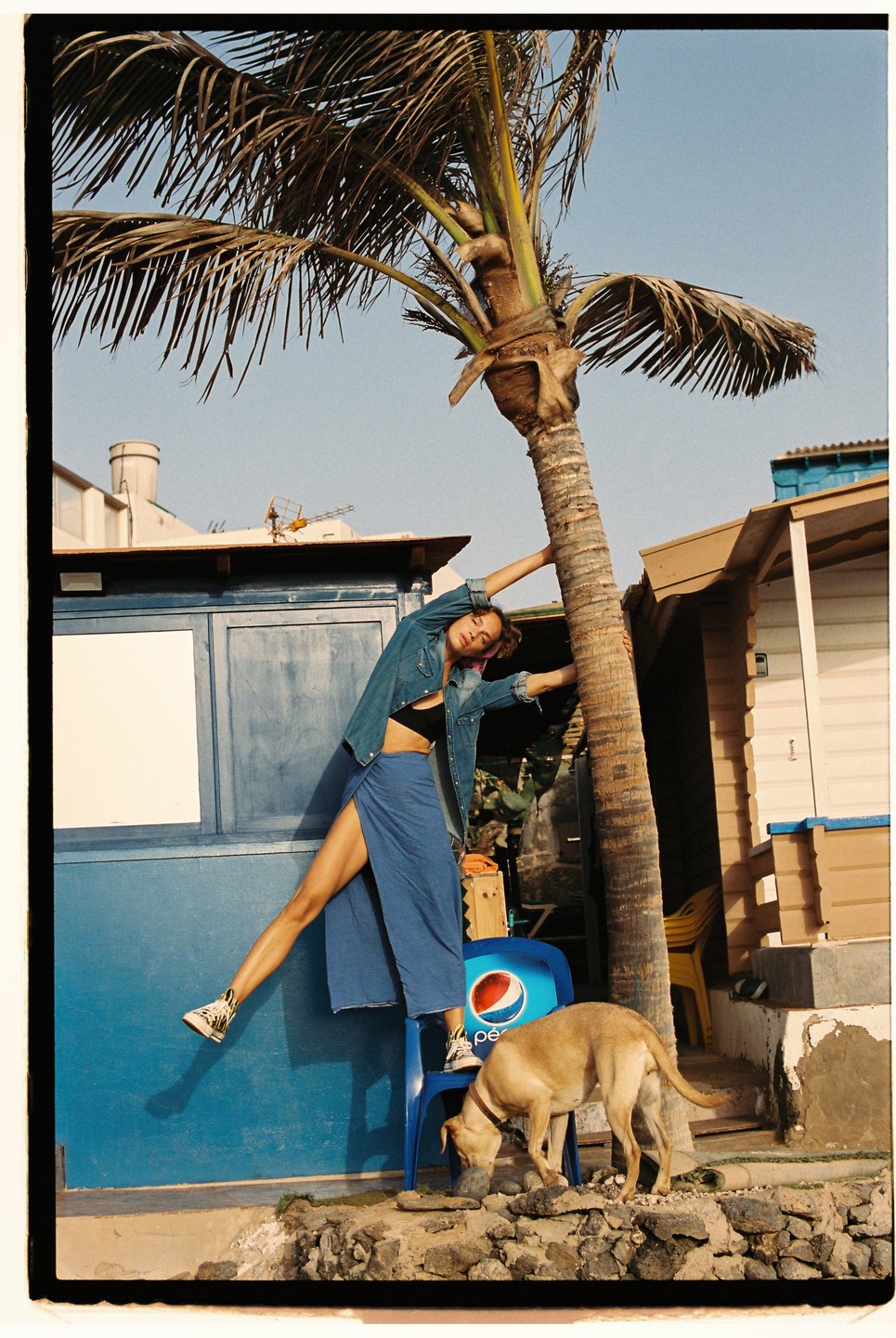 A woman leans against a palm tree while a dog drinks from a bowl next to a blue chair.